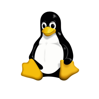Anakine - Expert en recrutement de talents tech - skills - Linux